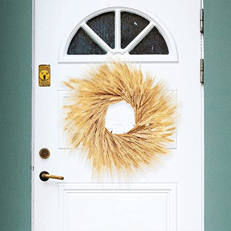 50/100/200PCS Dried Wheat Stal - Wedding Arch Flower ulasan dan harga